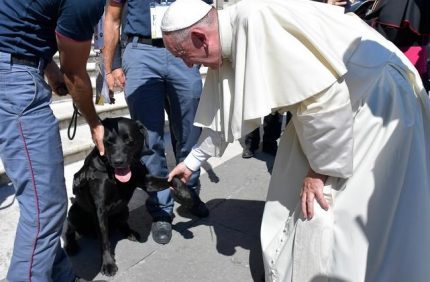 Terremoto, Papa Francesco incontra Leo, il cane che ha salvato la piccola Giorgia