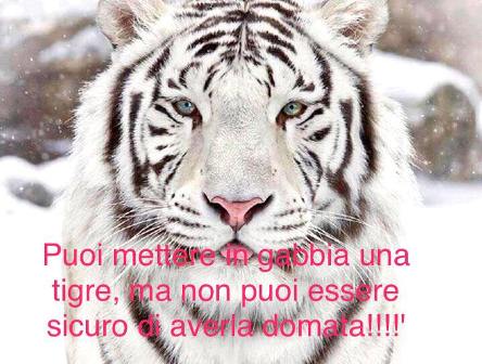 Pensiero del mattino