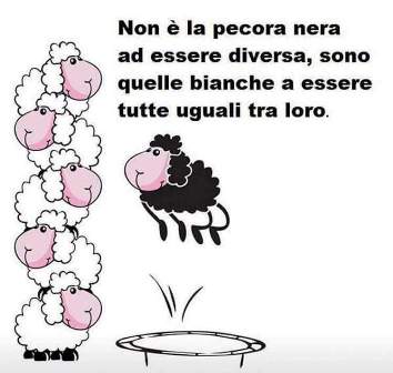 Orgogliosi di essere pecore nere