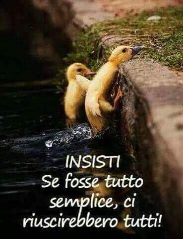 Per tutti i pulcini che diventeranno cigni