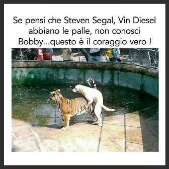 Solo per stomaci forti, una scena di incredibile coraggio