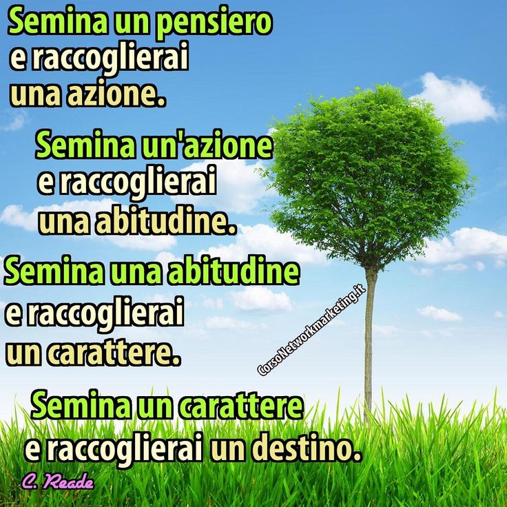 Il pensiero del mattino