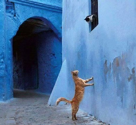 Romeo e Giulietta in love