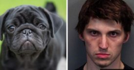 assassino-e-torturatore-274x145