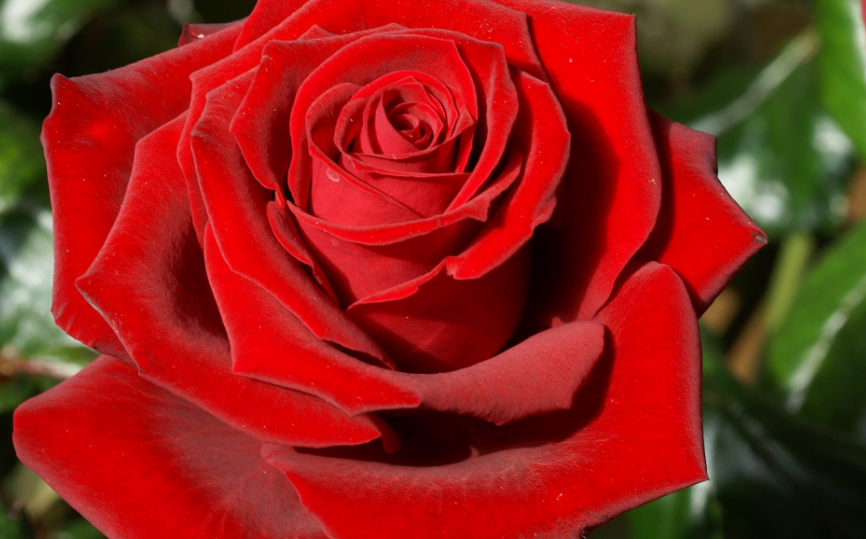 schermata-2017-01-06-alle-10-46-48