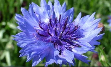 schermata-2017-01-06-alle-10-50-26