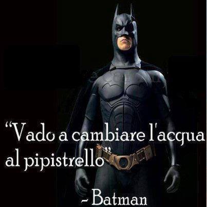 E’ ora di cambiare l’acqua al pipistrello!