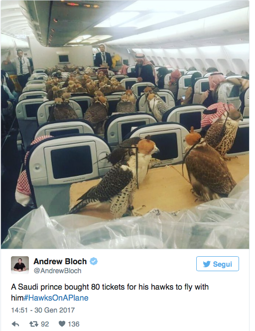 schermata-2017-02-01-alle-08-53-04